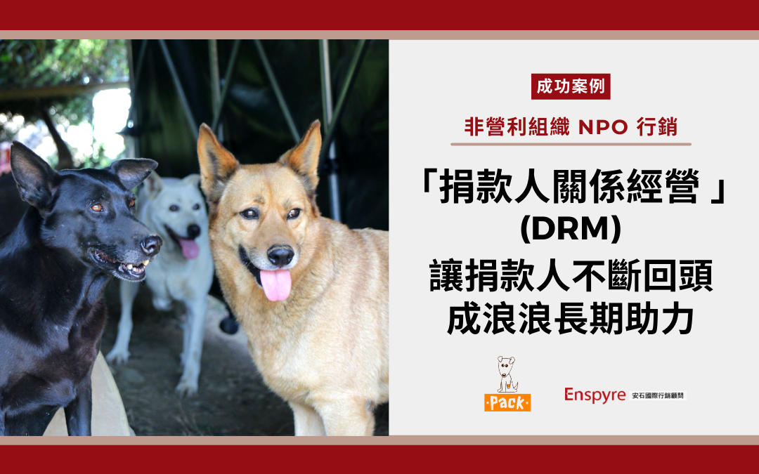 非營利流浪動物組織如何透過「捐款人關係經營」讓捐款人持續給予浪浪穩定助力